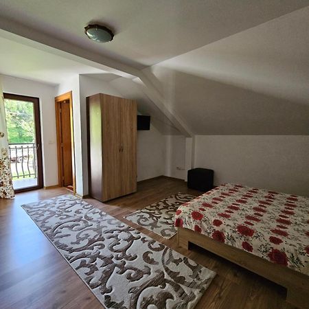 Vila Casa Alba Borşa Exteriér fotografie