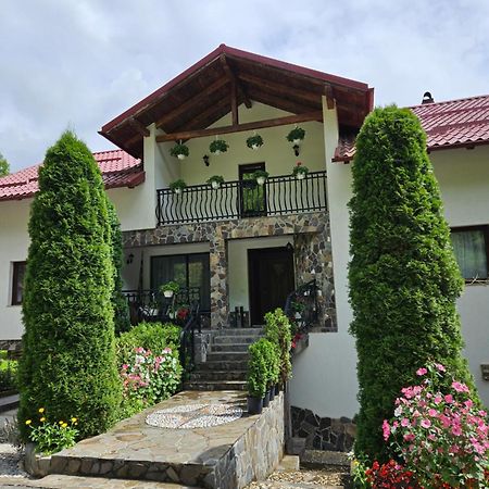 Vila Casa Alba Borşa Exteriér fotografie