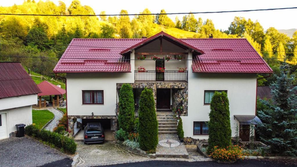 Vila Casa Alba Borşa Exteriér fotografie
