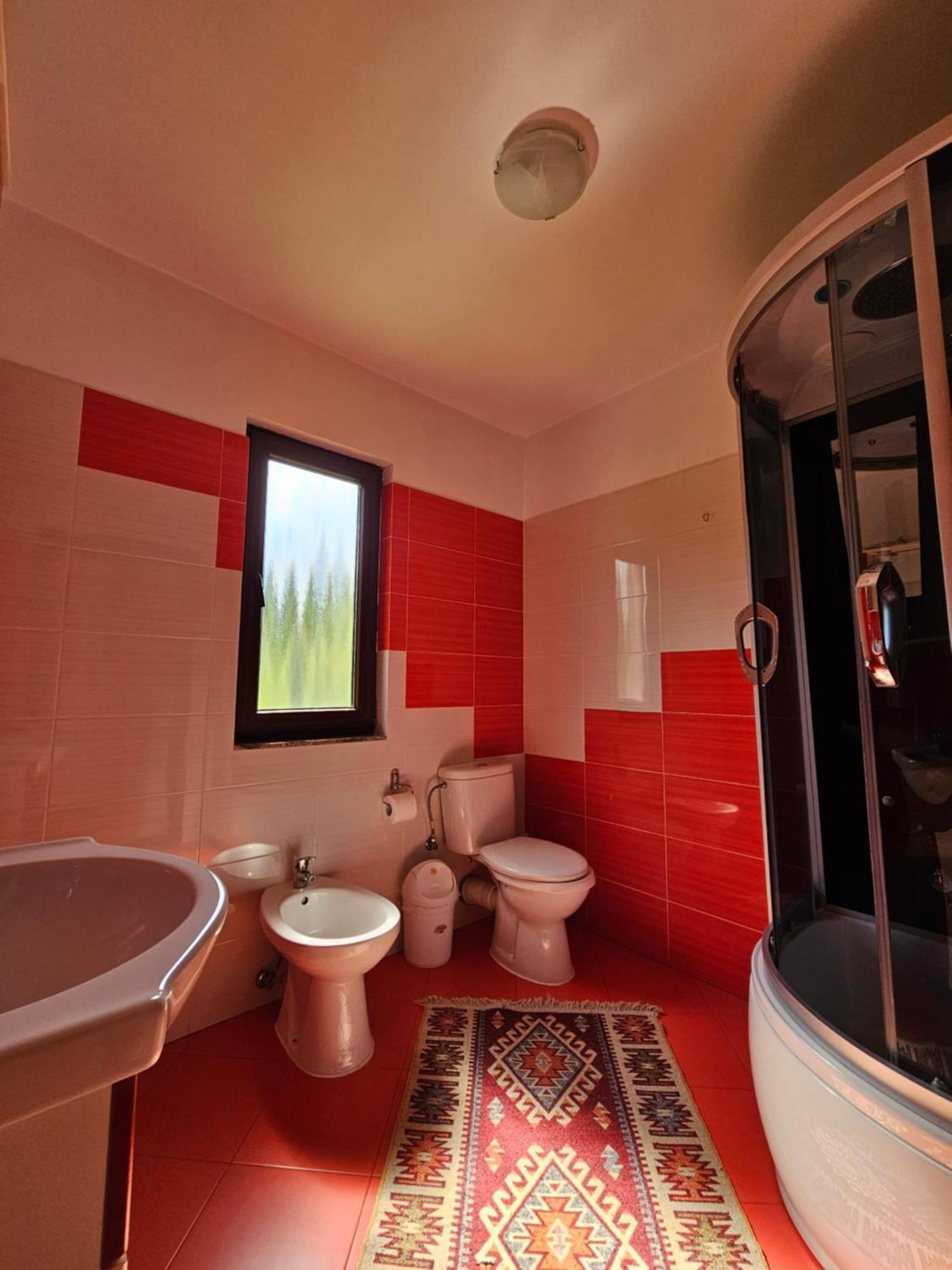 Vila Casa Alba Borşa Exteriér fotografie