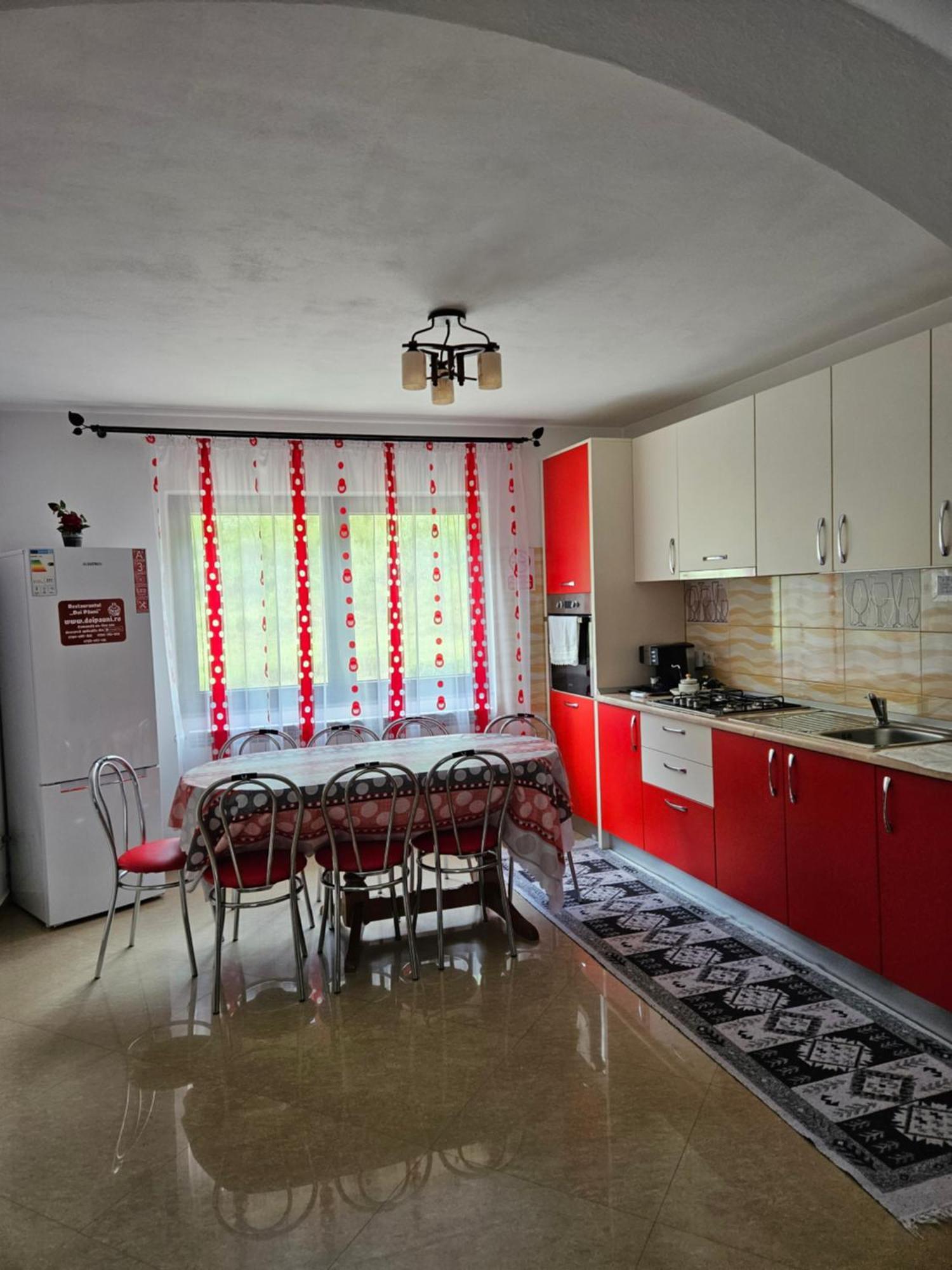 Vila Casa Alba Borşa Exteriér fotografie