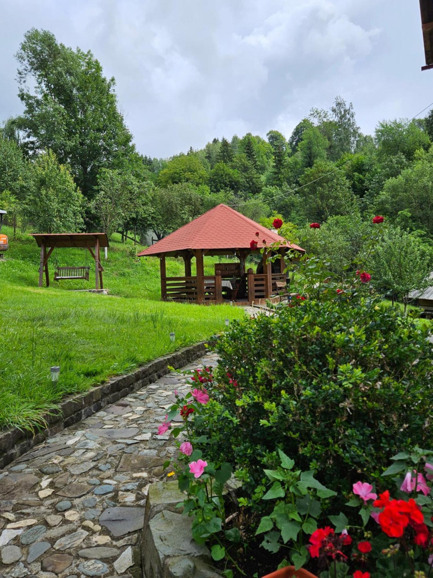 Vila Casa Alba Borşa Exteriér fotografie