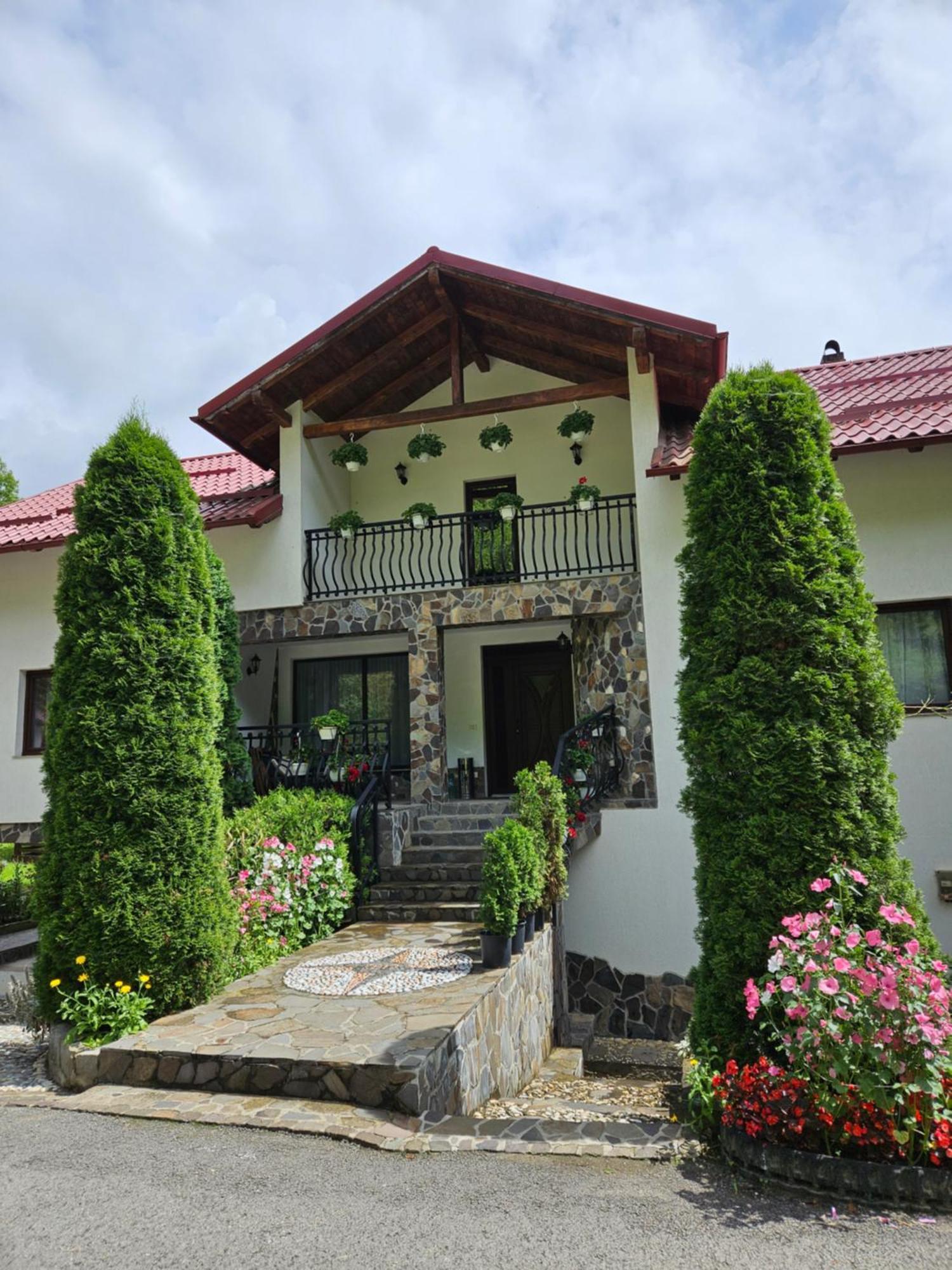 Vila Casa Alba Borşa Exteriér fotografie